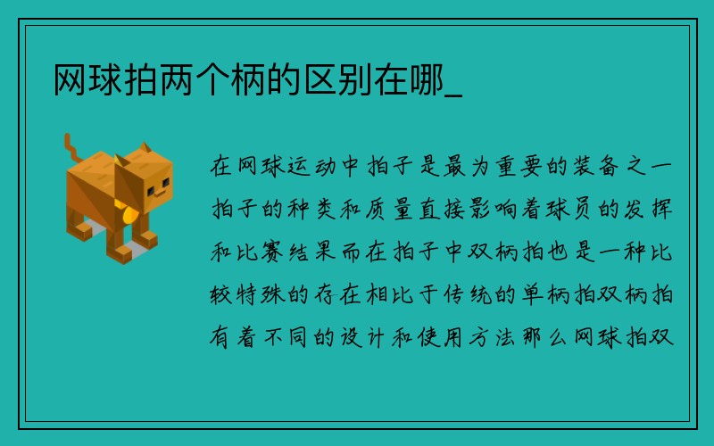 网球拍两个柄的区别在哪_