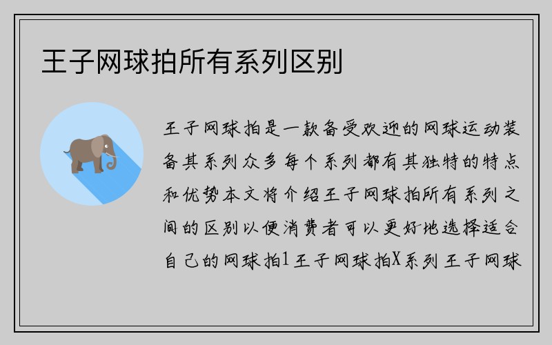 王子网球拍所有系列区别