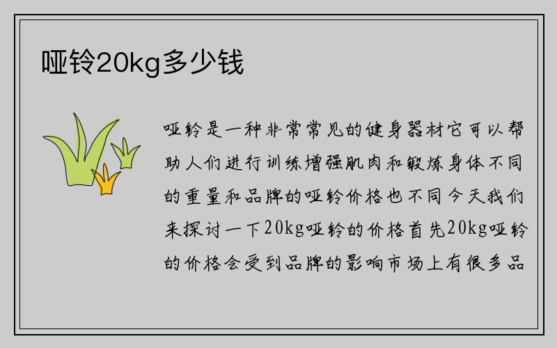 哑铃20kg多少钱